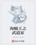 海贼王之武皇霸世
