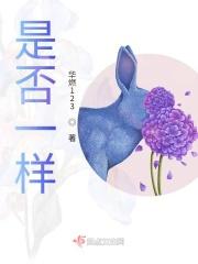 海马大小的功效是否一样