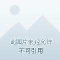 魂萦旧梦歌谱