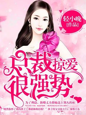 总裁掠爱100天全文免费阅读