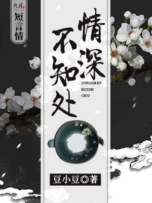 情深不知归处下一句是什么
