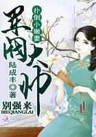 陆少宠妻入骨 免费阅读