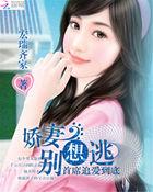首席娇妻要离婚