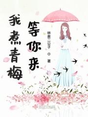 我煮青梅等你来 林泉二公子