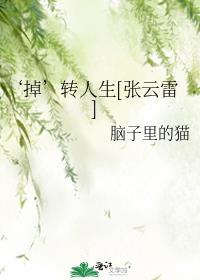 掉转人生张云雷老福特