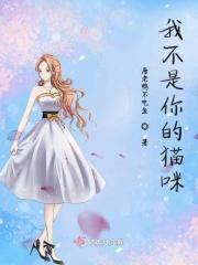 我不是猫女