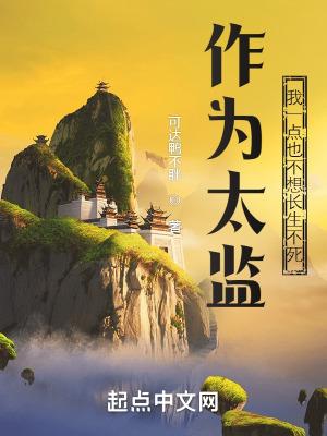 不想了太监文